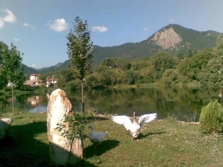 Ribkata Family Hotel Smolan Zewnętrze zdjęcie